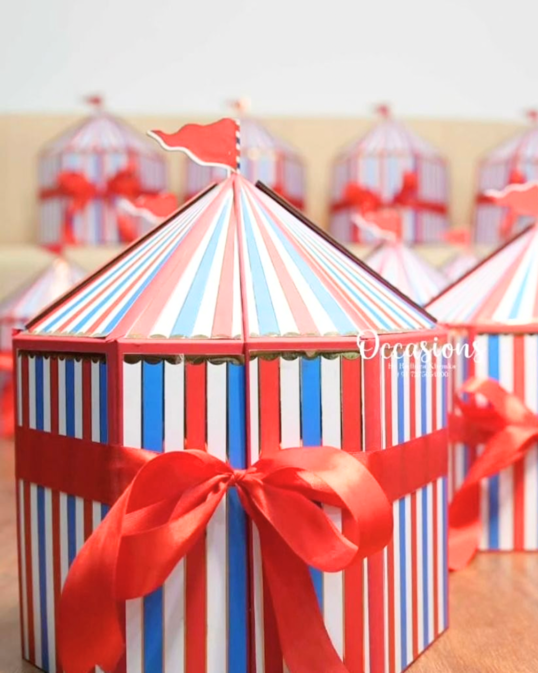 Circus in Town