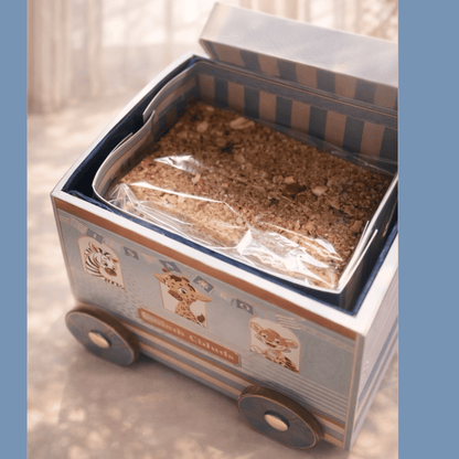 Choo-Choo Joy on Track