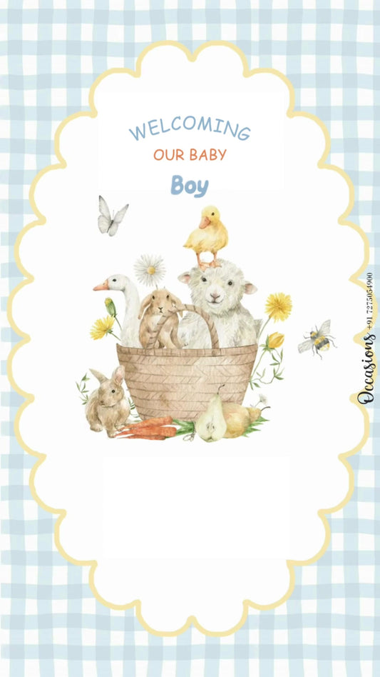 Bunny Boy Bliss